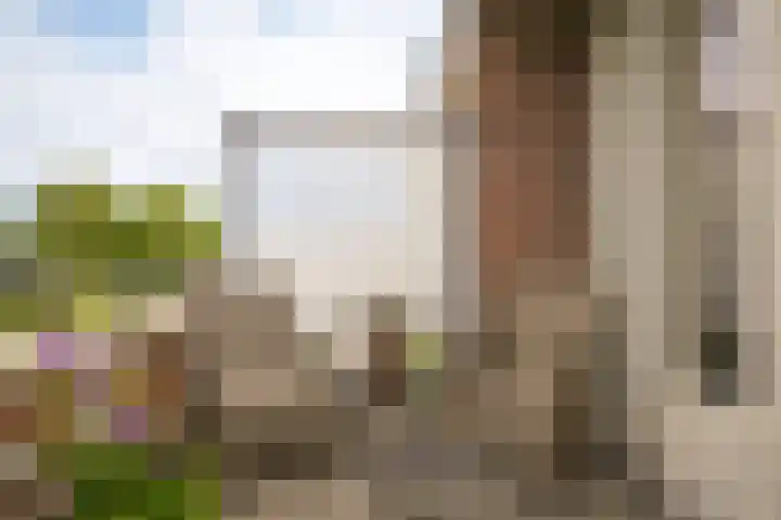Rijnstraat 8 d Ingen thumbnail 25