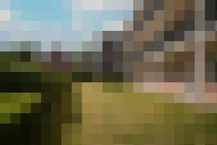 Rijnstraat 8 d Ingen thumbnail 32