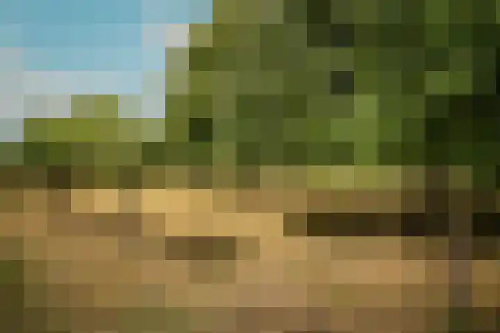 Rijnstraat 8 d Ingen thumbnail 37