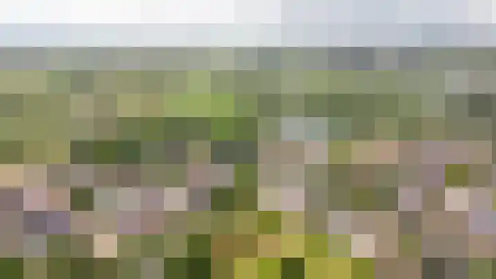 Rijnstraat 8 d Ingen thumbnail 38