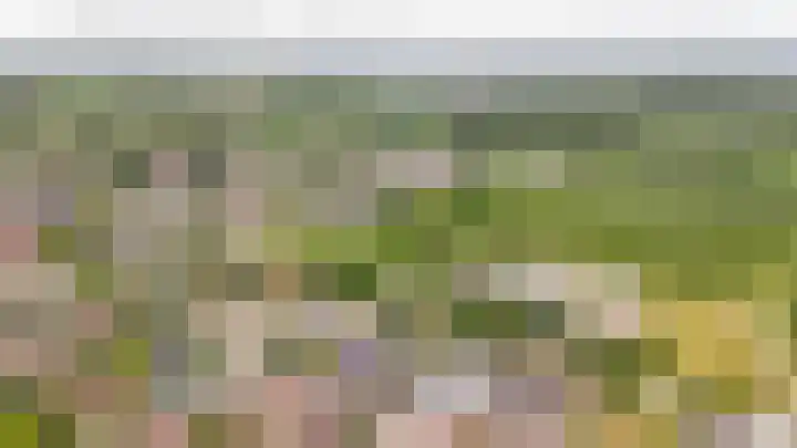 Rijnstraat 8 d Ingen thumbnail 41