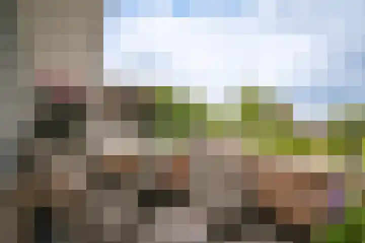 Rijnstraat 8 d Ingen thumbnail 5