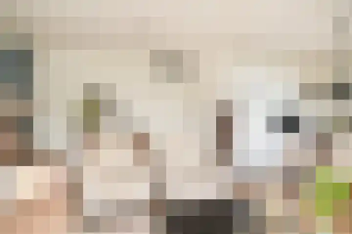 Rijnstraat 8 d Ingen thumbnail 7