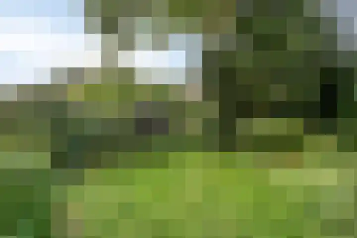 Rijperweg 49 Middenbeemster thumbnail 28