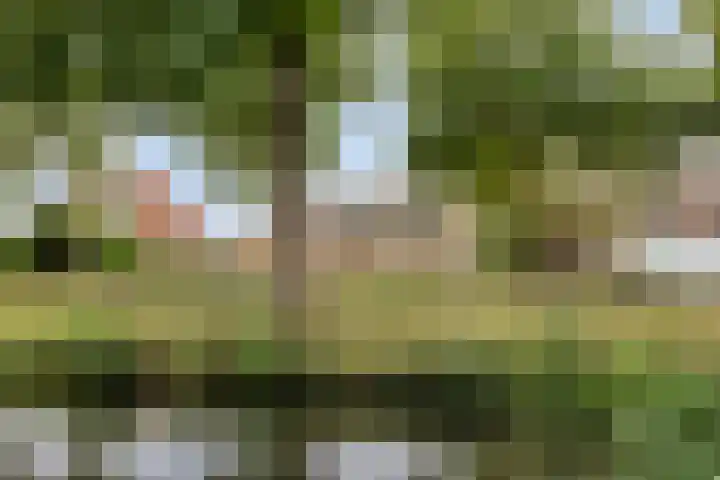 Rijperweg 49 Middenbeemster thumbnail 36