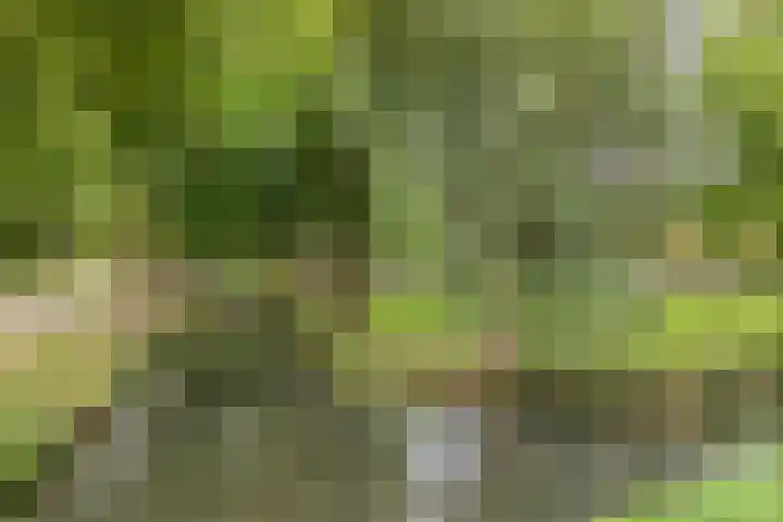 Rijperweg 49 Middenbeemster thumbnail 38