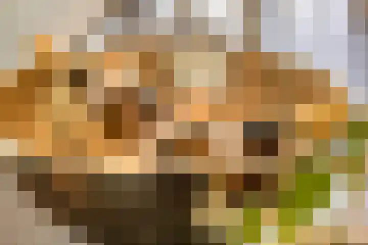 Rijperweg 65 Middenbeemster thumbnail 18