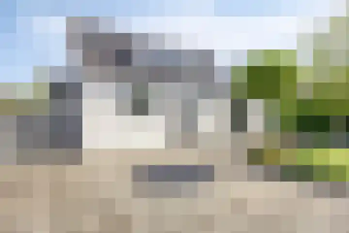Rijperweg 65 Middenbeemster thumbnail 39