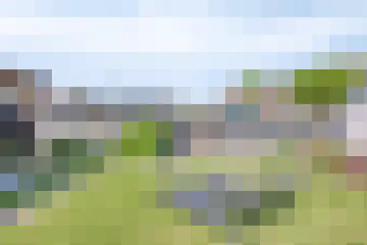 Rijperweg 65 Middenbeemster thumbnail 43