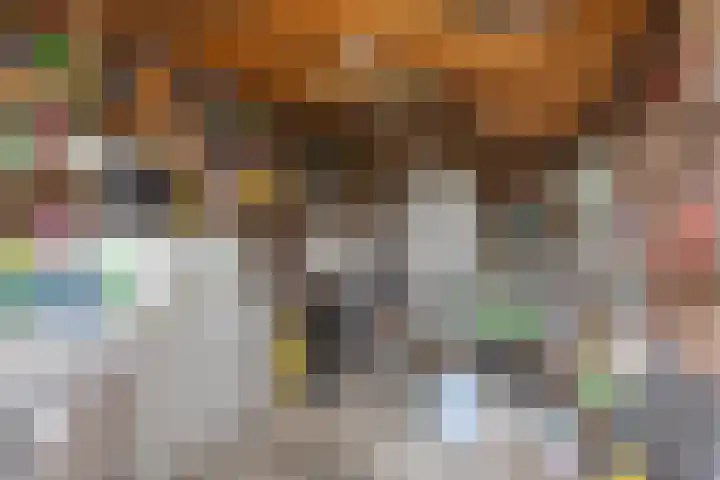 Rijsbergsebaan 13 Breda thumbnail 29