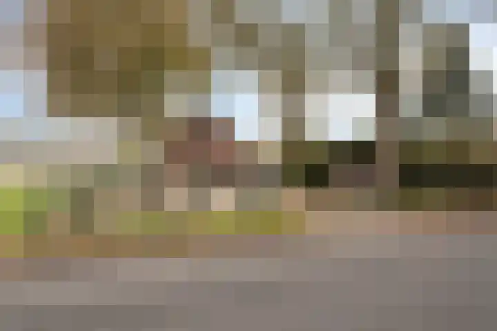 Rijsbergsebaan 13 Breda thumbnail 6