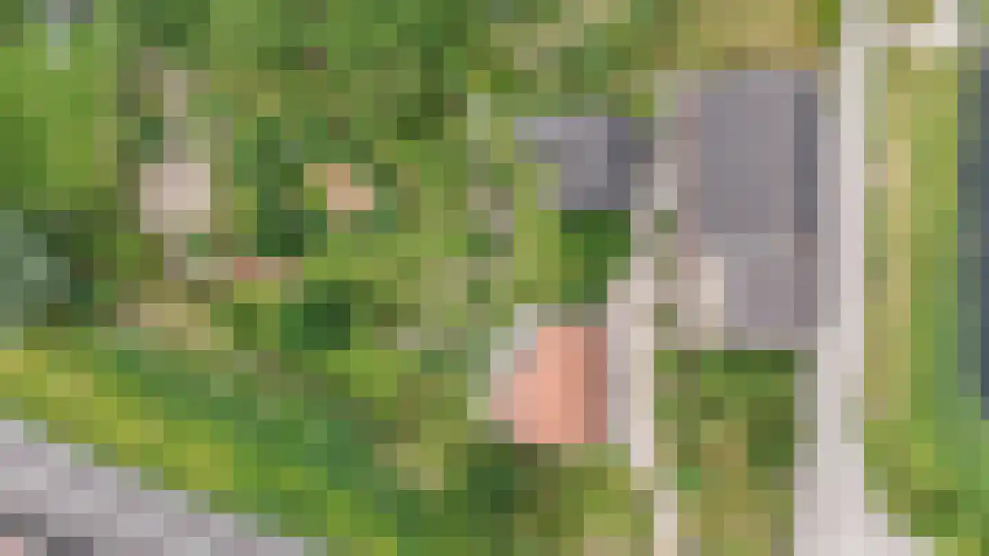 Rijsdijk 109 Rhoon thumbnail 4
