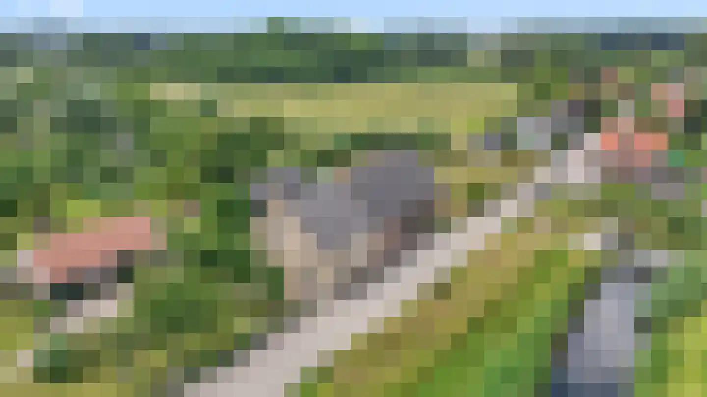 Rijsdijk 109 Rhoon thumbnail 5