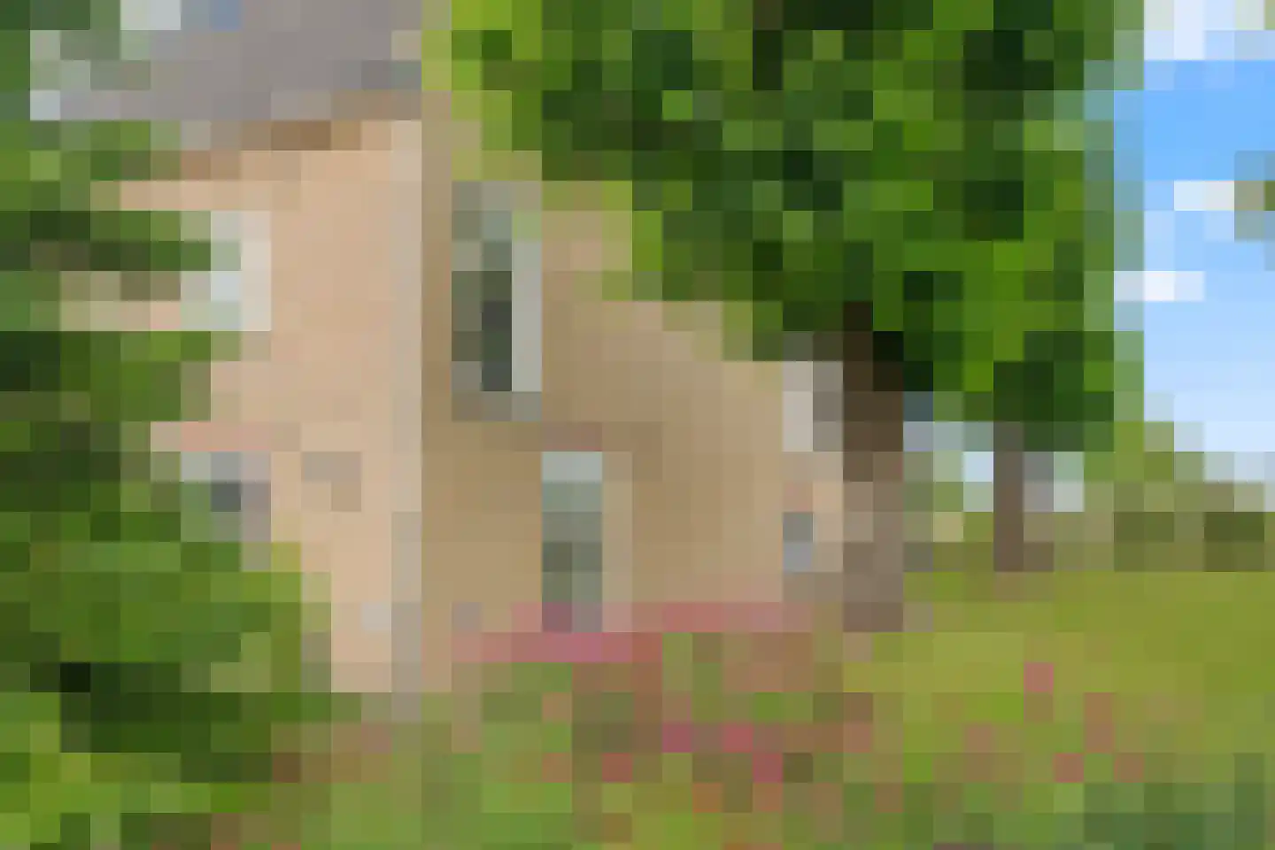 Rijsdijk 109 Rhoon thumbnail 6