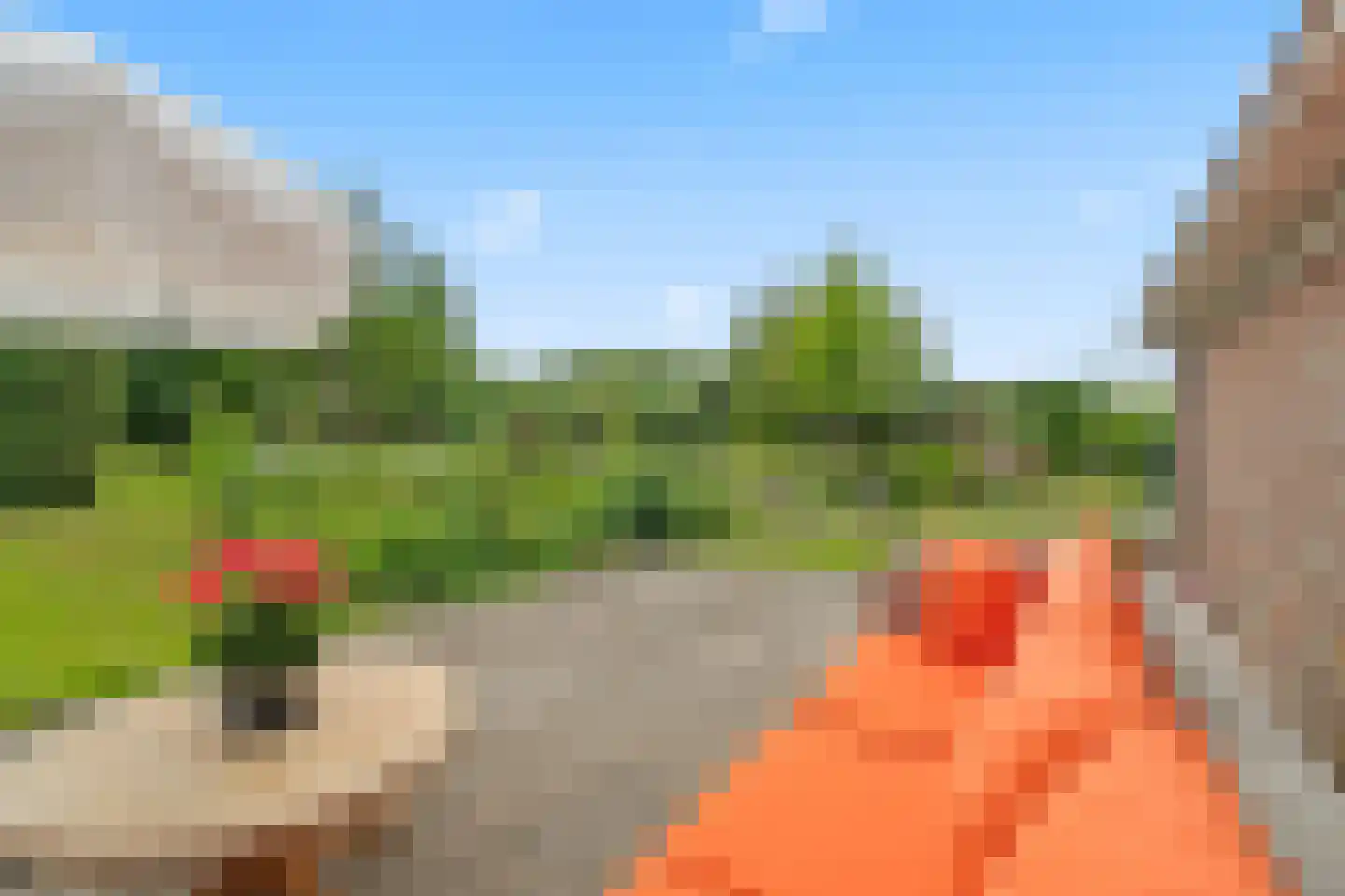 Rijsdijk 109 Rhoon thumbnail 8