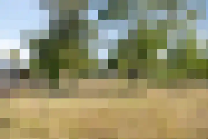Rijssenseweg 41 Enter thumbnail 6