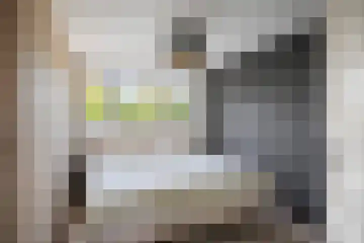 Rijsterborgherweg 19 Deventer thumbnail 18