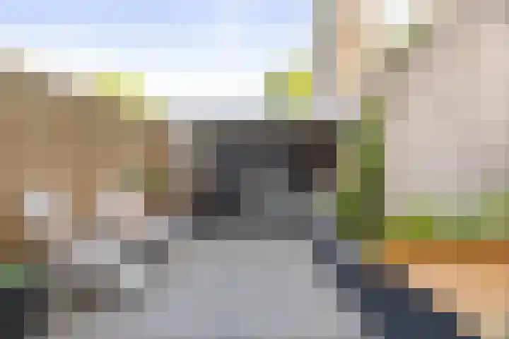 Rijsterborgherweg 19 Deventer thumbnail 27