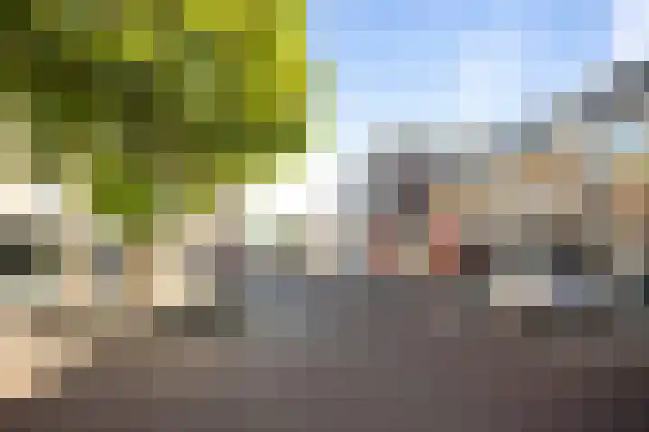 Rijsterborgherweg 19 Deventer thumbnail 37