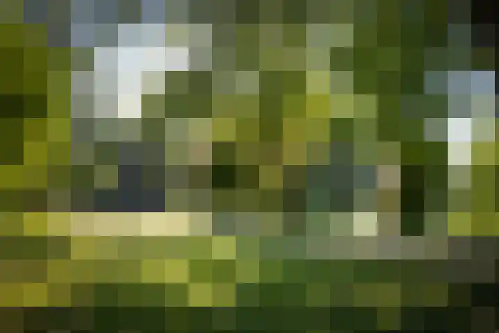 Rijsterborgherweg 19 Deventer thumbnail 39