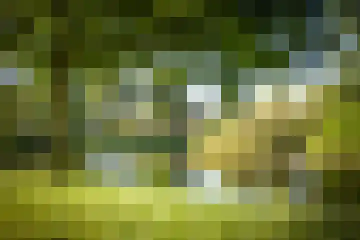 Rijsterborgherweg 19 Deventer thumbnail 43