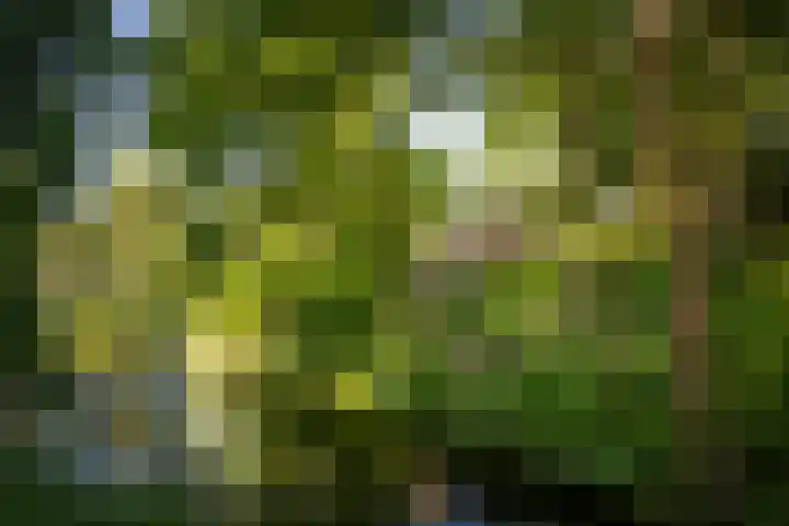 Rijsterborgherweg 19 Deventer thumbnail 48