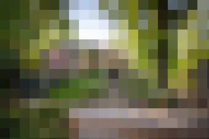Rijsterborgherweg 19 Deventer thumbnail 50