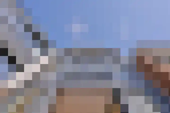 Rijsterborgherweg 7 A Deventer thumbnail 15