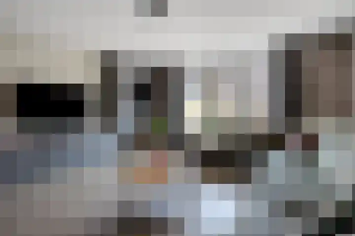 Rijstgras 10 E Rotterdam thumbnail 10