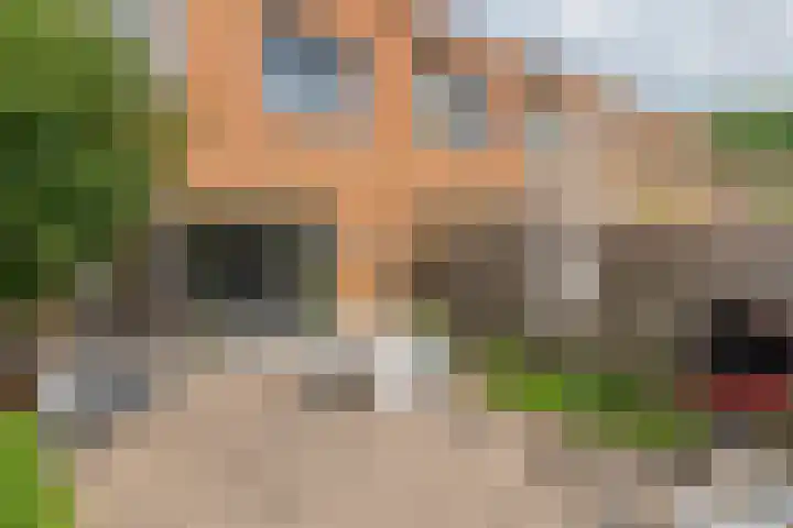 Rijstgras 10 E Rotterdam thumbnail 18