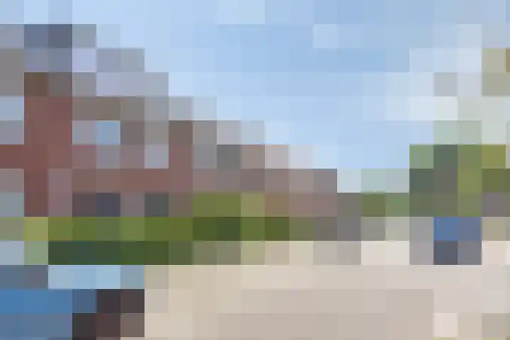 Rijstgras 10 E Rotterdam thumbnail 31