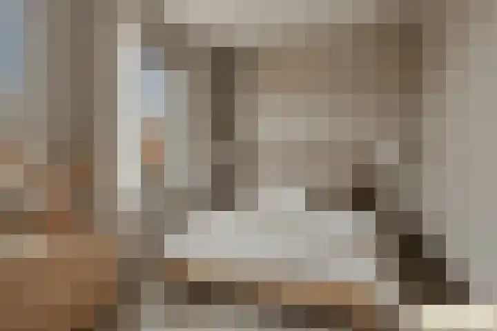 Rijt 46 Best thumbnail 18