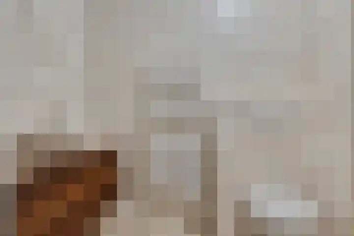 Rijt 46 Best thumbnail 23