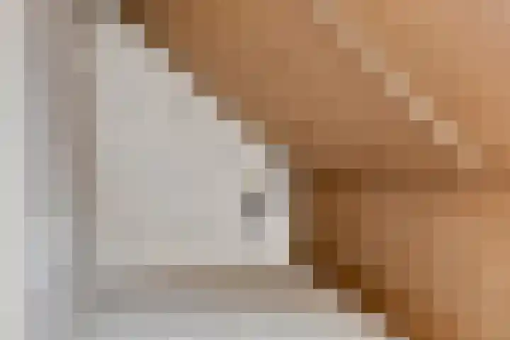 Rijt 46 Best thumbnail 26