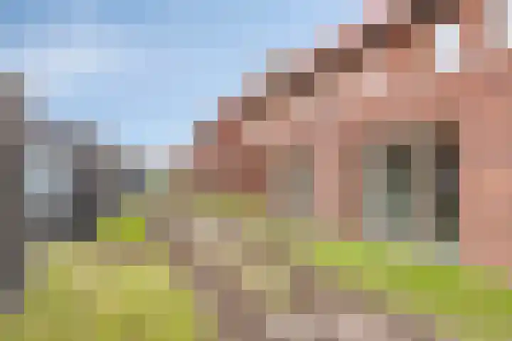 Rijt 46 Best thumbnail 29