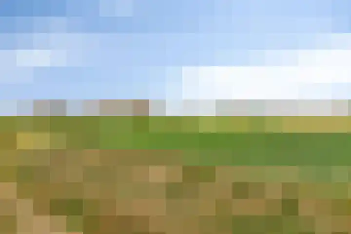 Rijt 46 Best thumbnail 32