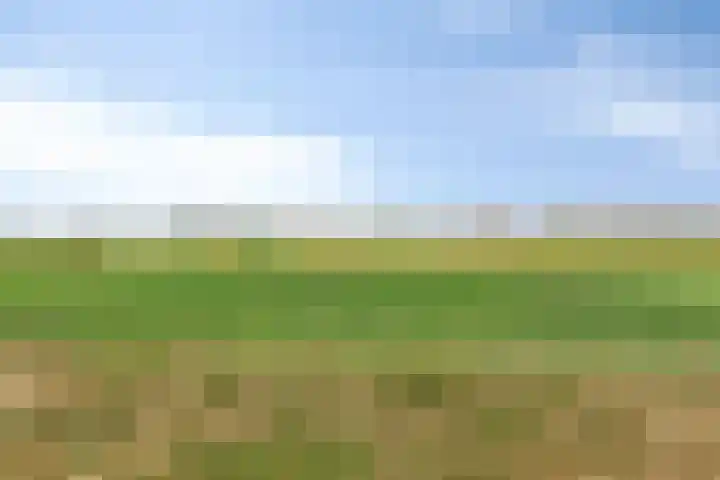 Rijt 46 Best thumbnail 33