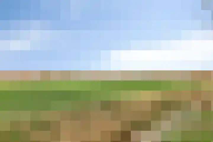 Rijt 46 Best thumbnail 34