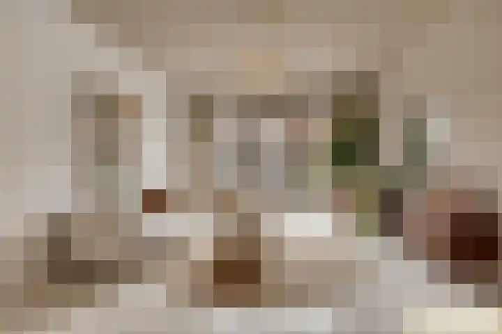 Rijt 46 Best thumbnail 7