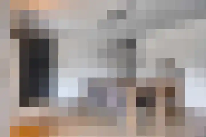 Rikkersdonk 7 Helmond thumbnail 12