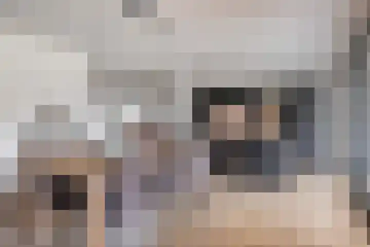 Rikkersdonk 7 Helmond thumbnail 15
