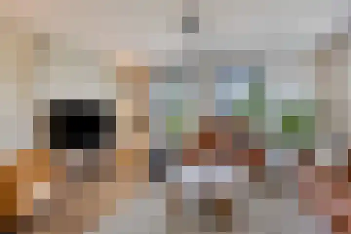 Rikkersdonk 7 Helmond thumbnail 25