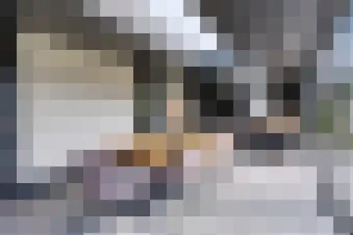 Rikkersdonk 7 Helmond thumbnail 32