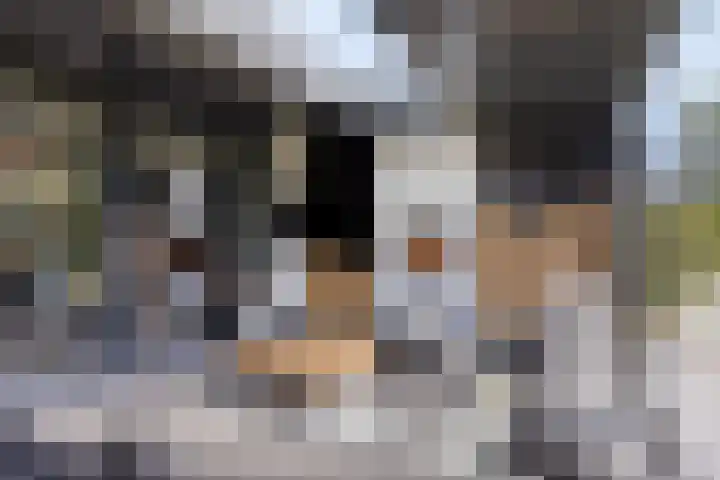Rikkersdonk 7 Helmond thumbnail 34