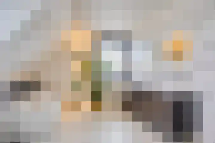Rikkersdonk 7 Helmond thumbnail 4