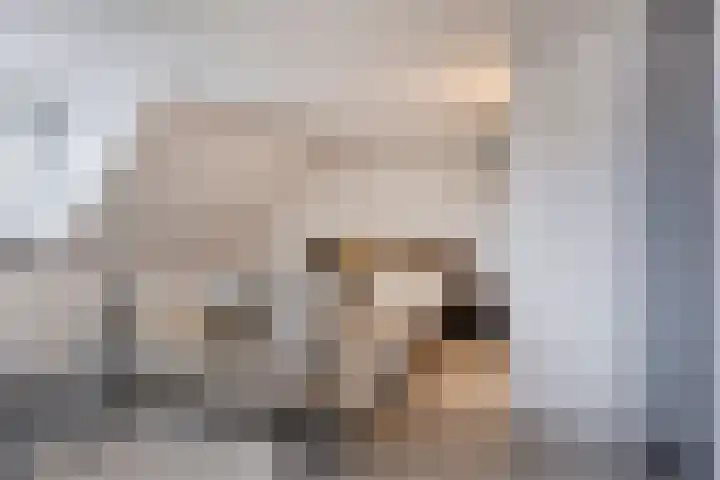 Rikkersdonk 7 Helmond thumbnail 48