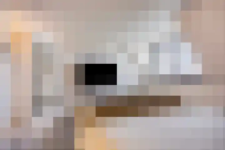 Rikkersdonk 7 Helmond thumbnail 52