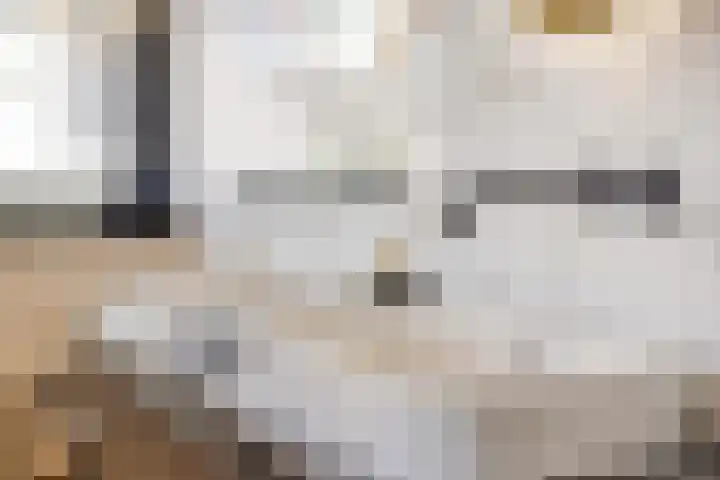 Rikkersdonk 7 Helmond thumbnail 57