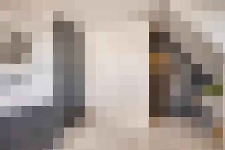 Rikkersdonk 7 Helmond thumbnail 58