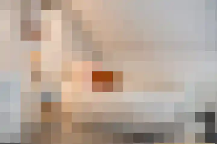 Rikkersdonk 7 Helmond thumbnail 61